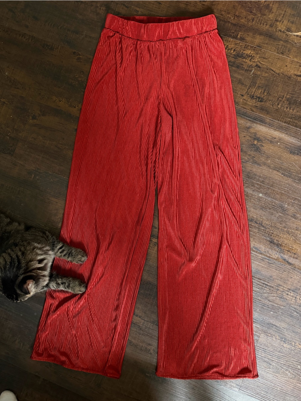 Orange Pleated Wide-Leg women’s Pants